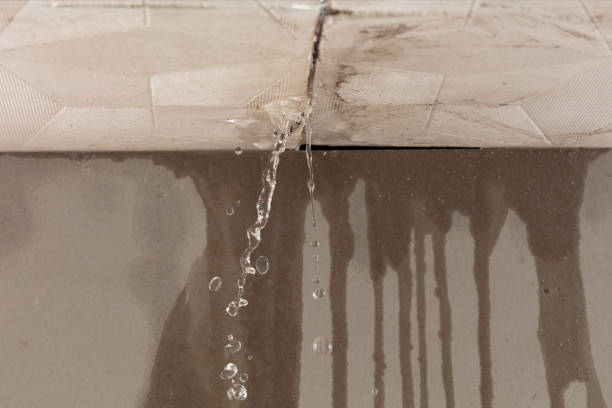 Professional Burst Pipe Cleanup technician working in Petersburg, WV